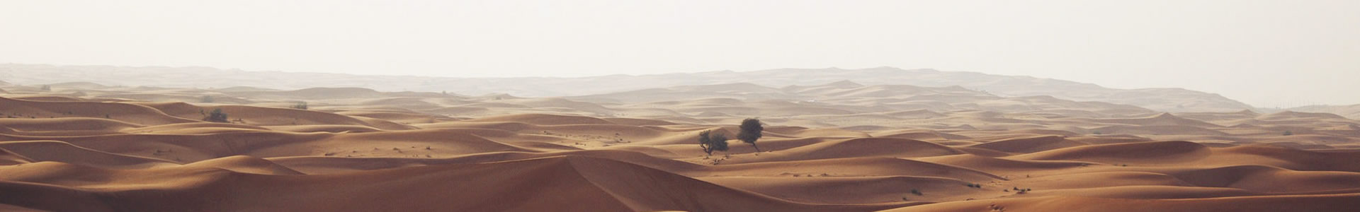 ൺ޹˾